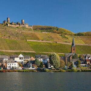 Burg Thurant im Sonnenlicht, Alken, Mosel, Rheinland-Pfalz, Deutschland, Europa