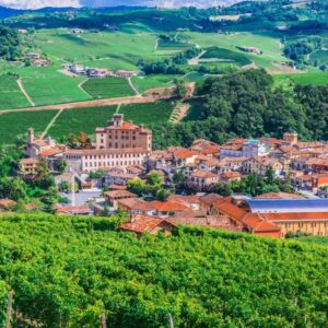 barolo1