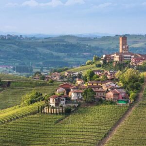 barolo2