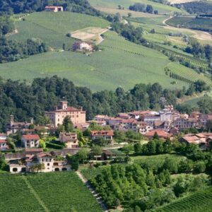 barolo9-1