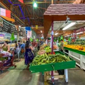 yellow-green-farmers-market-hollywood-florida-usa-yellow-green-farmers-market-hollywood-florida-167833668.jpg
