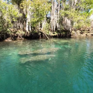 Crystal River 2