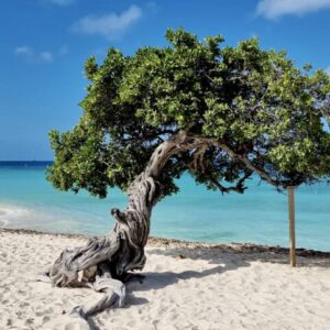 Eagle Beach 1